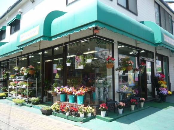「花のキレイ舎」　（熊本県熊本市中央区）の花屋店舗写真1