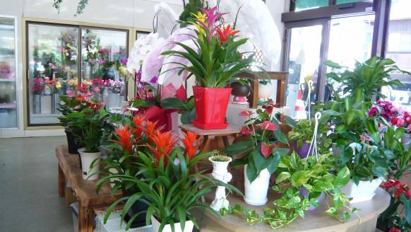 「花のキレイ舎」　（熊本県熊本市中央区）の花屋店舗写真2
